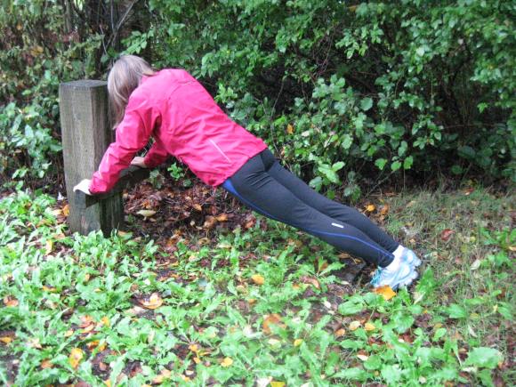 Plank - this is best done on the ground on your elbows, but the ground is too wet and muddy, so plank it up with straight arms on a low ledge. Hold for at least 30 seconds, but try for 60 if you can. Shake your arms out afterwards.